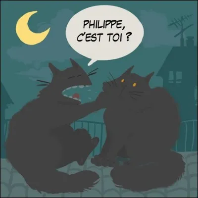 Quelle est l'expression imagée ?