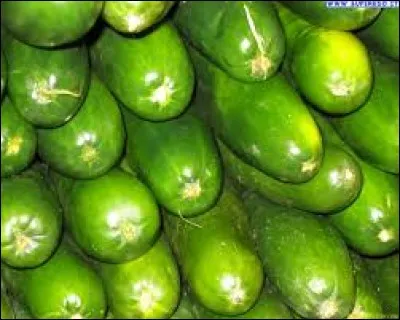 Quel est cet aliment ?