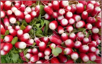 Comment appelle-t-on ce légume ?