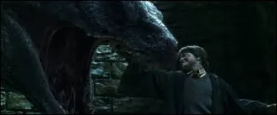 Qui a gagné le combat contre le basilic ?