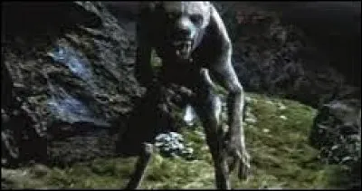 Quelle est cette créature ?