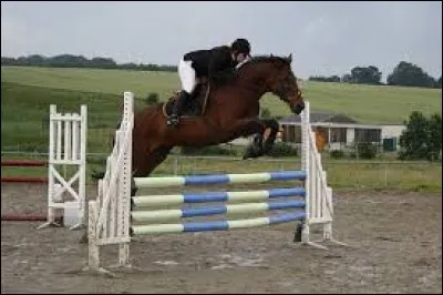 Comment se nomme cette discipline ?