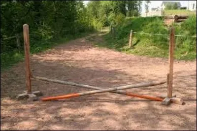 Quel est le type de cet obstacle ?
(2 réponses possibles)