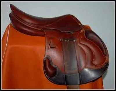 A quelle discipline sert cet objet ?