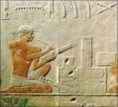 Quel est le rôle de cette personne ?