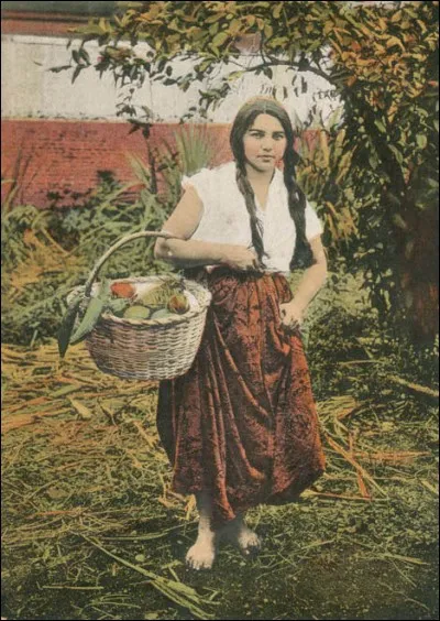 Sauriez-vous encore, mesdames et messieurs, "faire danser l'anse du panier" ?