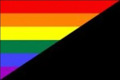 Le 28 juin 1969, la police effectue un raid dans un bar de New York. Les flics commencent à embarquer les personnes, trans, drag queens et drag kings, sur le motif du travestissement alors illégal. Une émeute éclate et durera 4 jours. On l'appelle l'émeute de Stonewall. Quelle fête prend cet événement comme départ ?