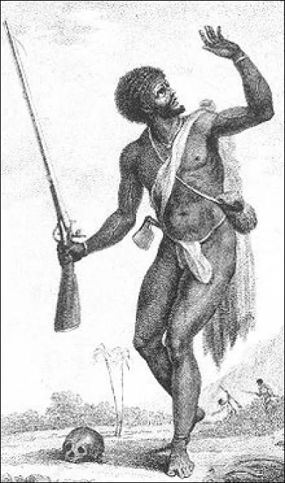 Aux Antilles, des esclaves africains parvenaient parfois à s'enfuir des plantations et, se cachant dans les forêts et les hauteurs des îles, fondaient de véritables sociétés comme les Alukus ou les Djukas.
Comment les appelait-on ?