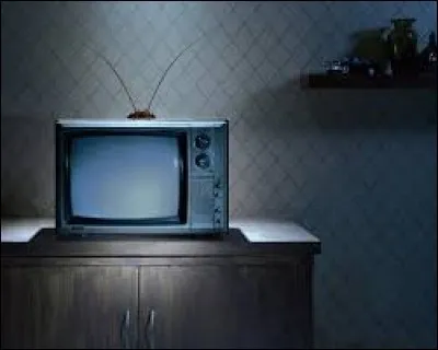 Cela passe à la télévision :