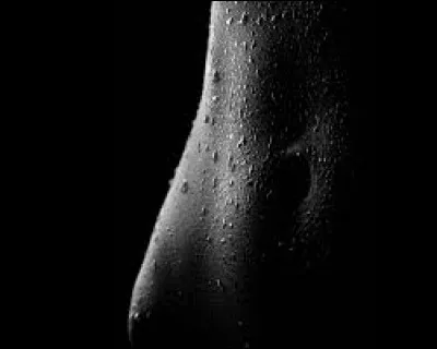 Cela ne nous apprend rien sur notre corps :