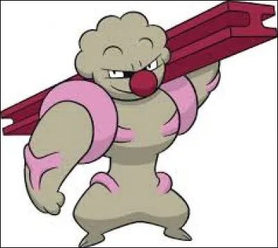 Comment s'appelle sa première méga-évolution ?