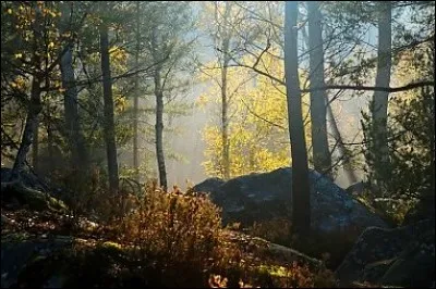 Les Bellifontains sont de Fontenay.