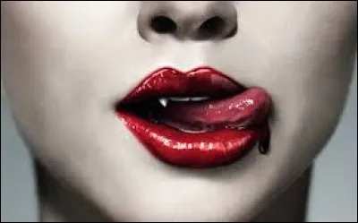 Où la langue se situe-t-elle ?