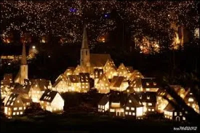 Quels sont les signes zodiacaux du mois de décembre ?