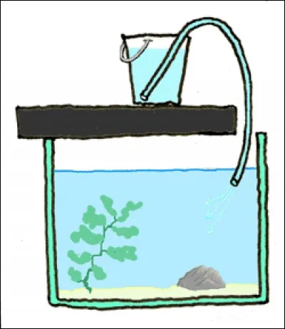 Idéalement, une fois l'aquarium peuplé, les changements d'eau doivent se faire en moyenne à hauteur de :