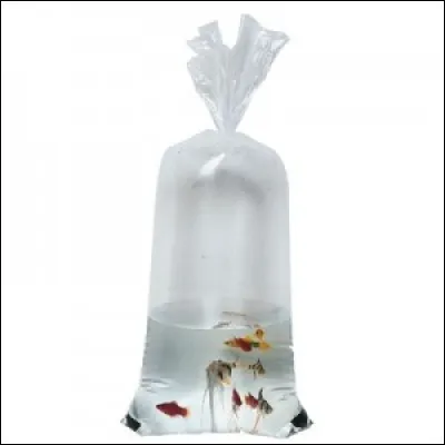 Pour bien acclimater un poisson avant de l'introduire dans son aquarium, il faut :