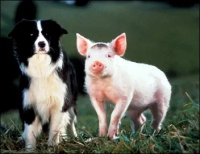 Donnez-moi son nom :