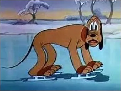 Quel nom ne correspond pas à une figure du patinage artistique ?