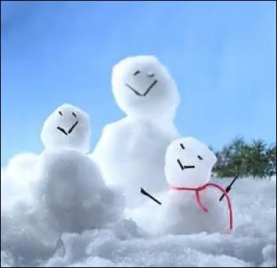 Traditionnellement, quel légume utilise-t-on pour faire le nez du bonhomme de neige ?