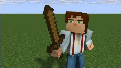 Comment s'appelle ce personnage de Minecraft ?