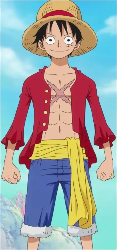 Quel est le pouvoir de Luffy ?