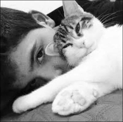 Ses chats sont :