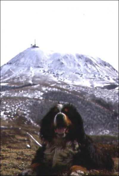 Dans quelle nouvelle région se trouve le département de la Loire ?