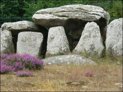 Quel département breton n'est pas baigné par la Manche ?