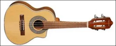 Comment s'appelle cet instrument ?