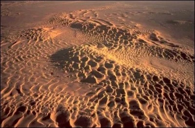 Si je vous dis : « Natures mortes », vous répondez :