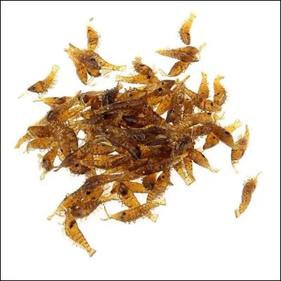 Si je vous dis : « La proie pour l'ombre », vous répondez :