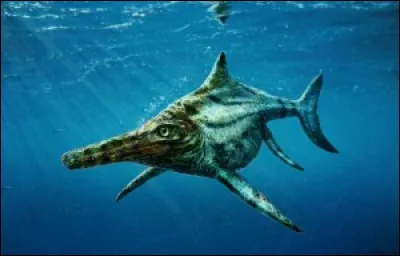 Où a été découvert Dearcmhara ?