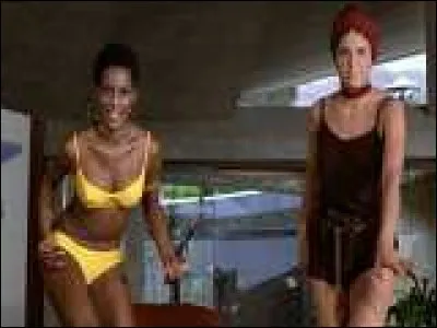 Cinéma - Dans quel film le personnage principal rencontre-t-il Perle noire et Bambi ?