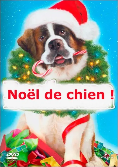 Voilà un chien connu qui nous annonce Noël !