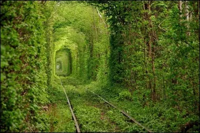 Comment s'appelle cette voie verte située à Klevan, en Ukraine ?