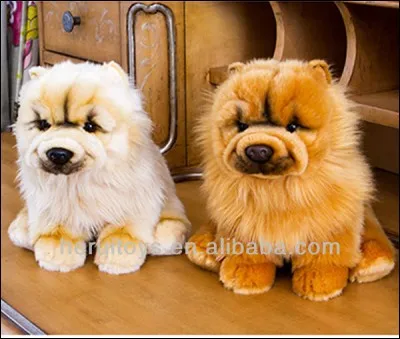 Ils sont tout doux avec leurs poils épais ! Nommez leur race :