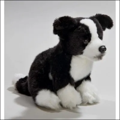 Je l'ai reconnu tout de suite !