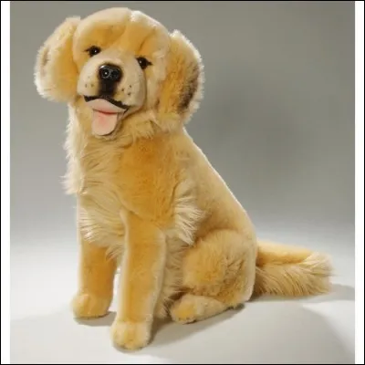 Ceci est vendu pour être un :