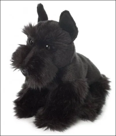 Quant à ce chien, c'est indubitablement le :