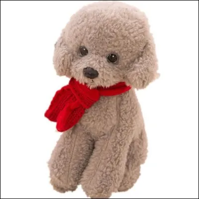 Mais qu'est-ce que c'est ?