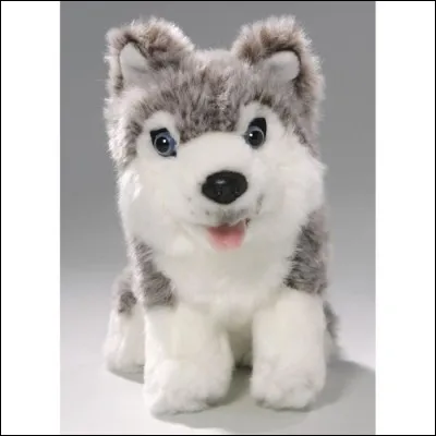 Celui-là est sympathique, avec ses yeux bleus ?