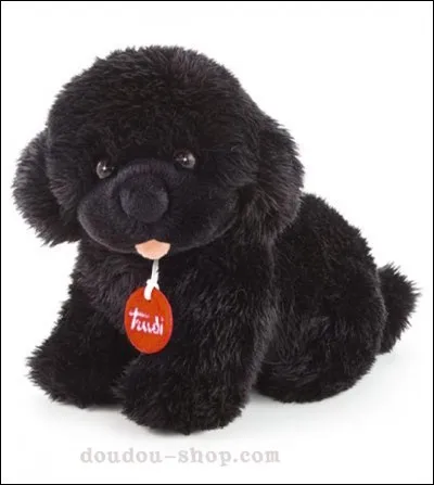 Adorable imitation !