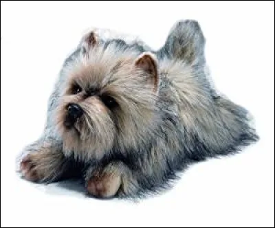 Joliment imité celui-ci aussi !