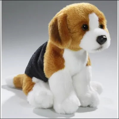 Il a une bouille adorable :