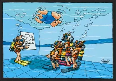 Ils vont à la piscine (...) les jeudis.