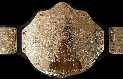 Quelle est cette ceinture?