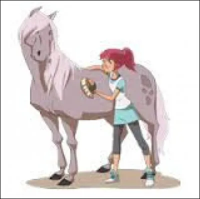 Comment s'appelle le cheval d'Ana&iuml;s dans "Le Ranch" ?