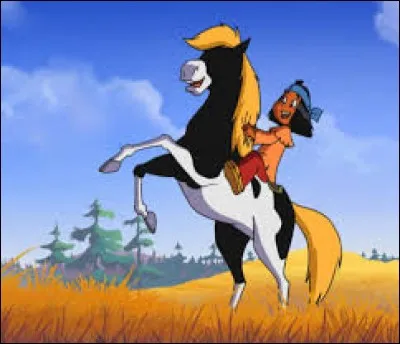 Comment s'appelle ce cheval ?