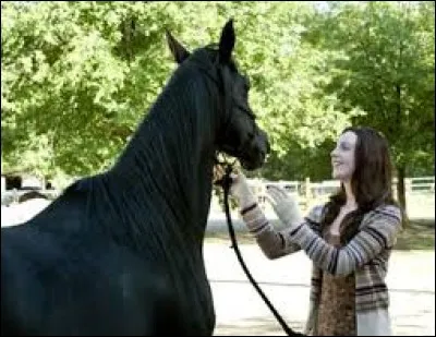 Comment s'appelle ce cheval ?