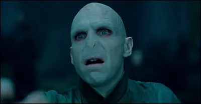 Qui a tué Voldemort ?